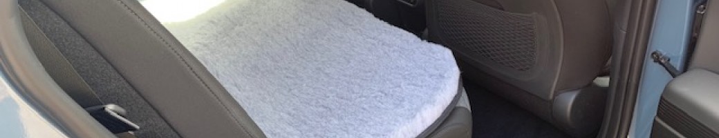 Car Seat Protector